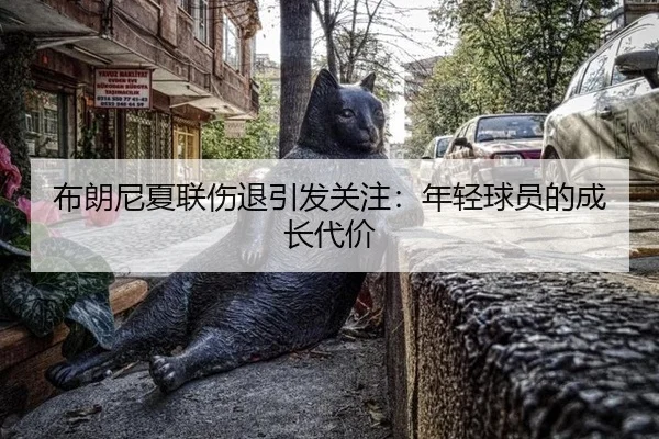 布朗尼夏联伤退引发关注：年轻球员的成长代价
